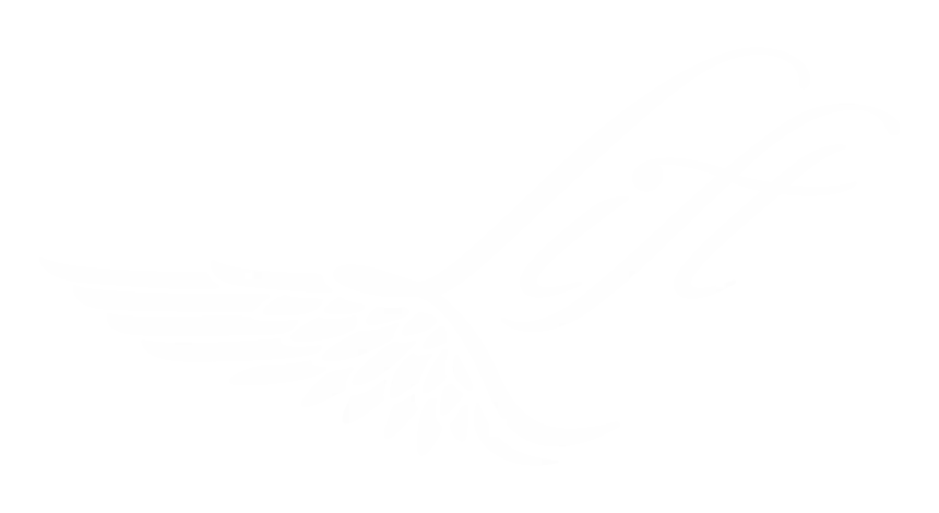 Lift Foils® — authorised dealer Mauritius